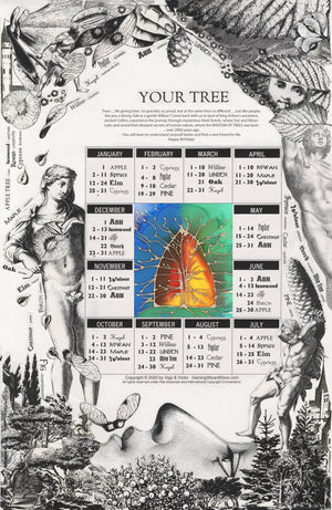 Find out what Tree are You?